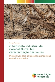 Paperback O feldspato industrial de Coronel Murta, MG: caracterização das lavras [Portuguese] Book