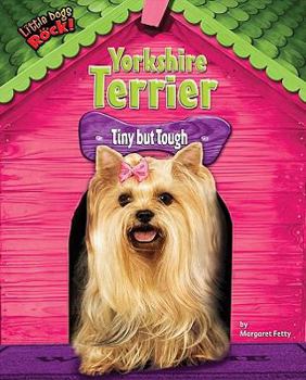 Library Binding Yorkshire Terrier: Tiny But Tough Book
