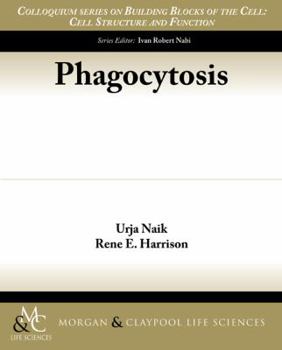 Paperback Phagocytosis Book