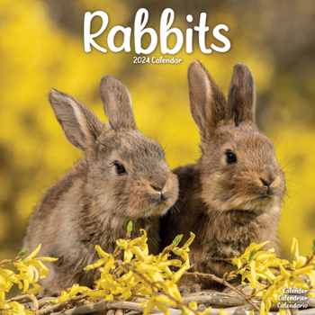2024 Rabbits Wall Calendar