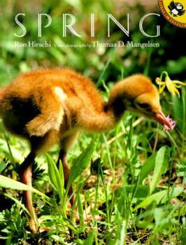 Paperback Spring Book