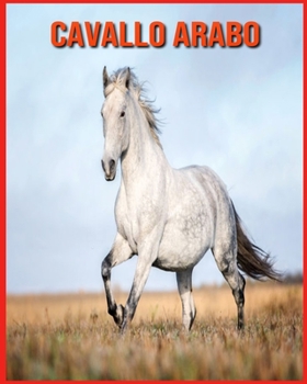 Cavallo Arabo: Scopri i Cavallo Arabo e goditi le immagini colorate
