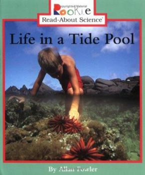 Paperback Life in a Tide Pool Book