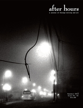 Paperback After Hours #46 Book
