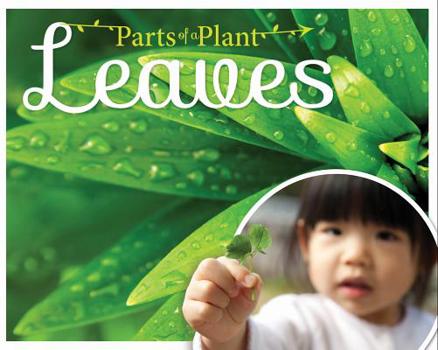 Hardcover Leaves Book