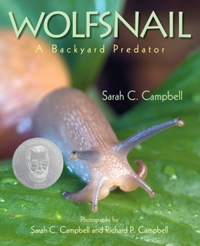 Hardcover Wolfsnail: A Backyard Predator Book