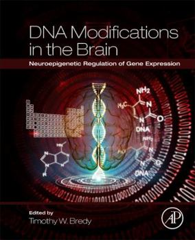 Paperback DNA Modifications in the Brain: Neuroepigenetic Regulation of Gene Expression Book
