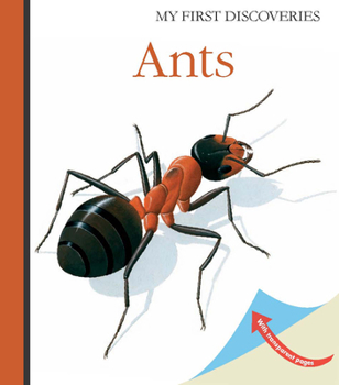 Spiral-bound Ants Book