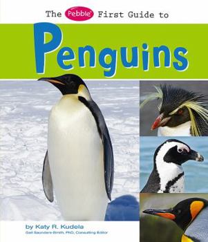Hardcover The Pebble First Guide to Penguins Book
