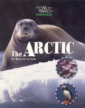 Paperback The Arctic Book