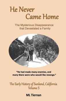 Paperback He Never Came Home Book