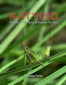 Paperback Katydid: Pictures & Fun Facts on Animals For Kids Book