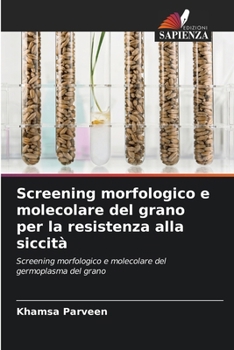 Paperback Screening morfologico e molecolare del grano per la resistenza alla siccità [Italian] Book