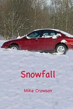 Paperback Snowfall Book