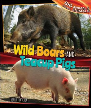 Paperback Wild Boars and Teacup Pigs Book