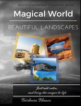 Paperback MAGICAL WORLD Beautiful Landscapes: Adult Grayscale Coloring Book