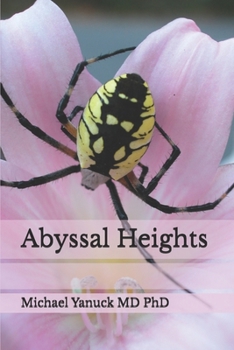 Paperback Abyssal Heights Book