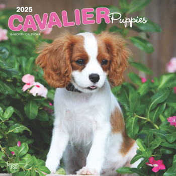 Calendar Cavalier King Charles Spaniel Puppies 2025 12 X 24 Inch Monthly Square Wall Calendar Plastic-Free Book