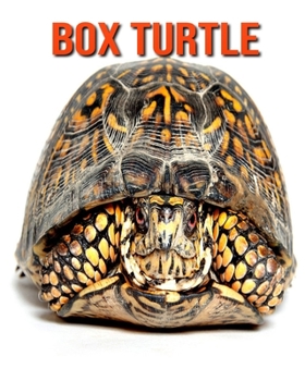 Box Turtle: Super Fun Facts And Amazing Pictures