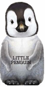 Board book Little Penguin Book