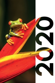 2020: Frog stuff for frog collectors Pretty Planner Calendar Organizer Daily Weekly Monthly Student Diary for research notes on gift ideas for kid animal lovers