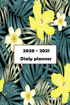 2020-2021 Daily Planner: Two year Planner , Dated with US Holiday Yearly Planner Organizer