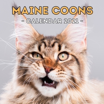Maine Coons: 2021 Wall Calendar, Cute Gift Idea For Maine Coon Cats Lovers Or Owners Men And Women