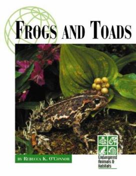 Hardcover Frogs and Toads Book