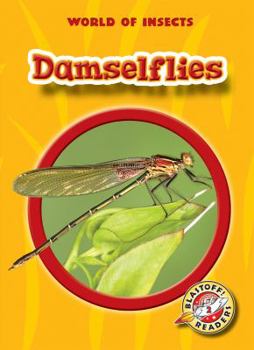 Damselflies - Book  of the World of Insects