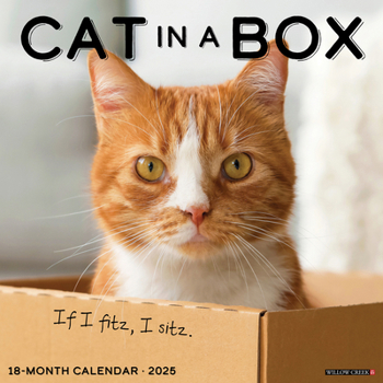 Calendar Cat in a Box 2025 12 X 12 Wall Calendar Book