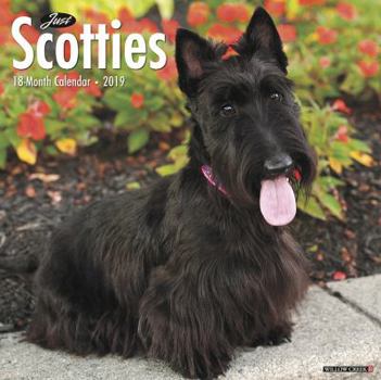 Calendar Just Scotties 2019 Wall Calendar (Dog Breed Calendar) Book