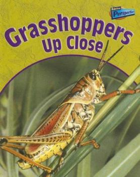 Paperback Grasshoppers Up Close Book