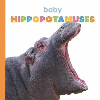Paperback Baby Hippopotamuses Book