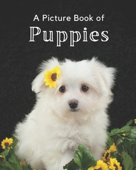 Paperback A Picture Book of Puppies: A Beautiful Picture Book for Seniors With Alzheimer's or Dementia. A Wonderful Gift for Dog Lovers. Book