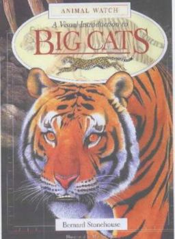 Paperback A Visual Introduction to Big Cats Book