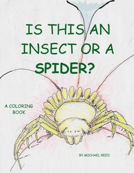Is This an Insect or a Spider: A Coloring Book