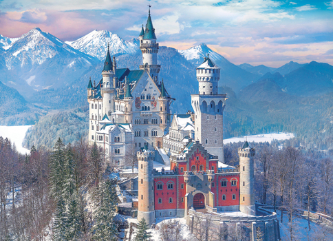 Misc. Neuschwanstein Castle in Winter Book