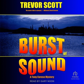 MP3 CD Burst of Sound Book