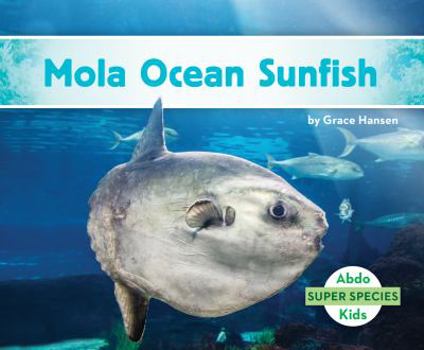Library Binding Mola Ocean Sunfish Book