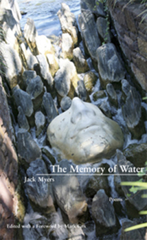 Paperback The Memory of Water Book