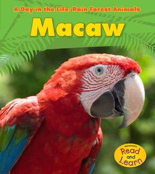 Hardcover Macaw Book