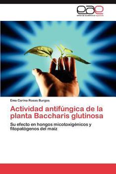 Paperback Actividad Antifungica de La Planta Baccharis Glutinosa [Spanish] Book