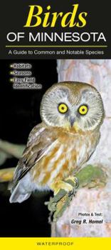 Pamphlet Birds of Minnesota Book