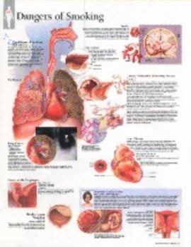 Effects of Smoking chart: Wall Chart