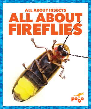 Paperback All about Fireflies Book