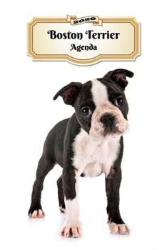 Paperback 2020 Boston Terrier Agenda: 107 Pagine - Dimensioni DIN A5 - Pianificatore Settimanale - 12 Mesi - Due Pagine Per Settimana - Calendario - Diario [Italian] Book