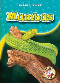 Mambas - Book  of the Snakes Alive