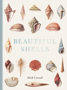 Hardcover Beautiful Shells: George Perry's Conchology Book