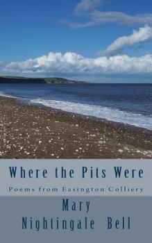 Paperback Where the Pits Were Book