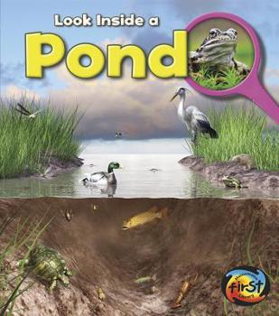Look Inside a Pond - Book  of the Look Inside